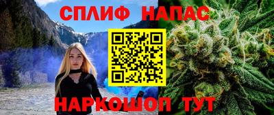 каннабис Камышлов