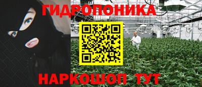 каннабис Камышлов