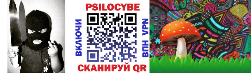OMG как зайти  Волхов  Галлюциногенные грибы ЛСД 