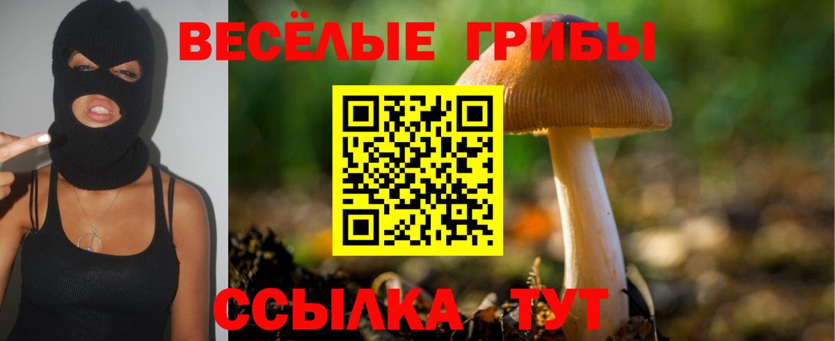 Галлюциногенные грибы мухоморы Волхов