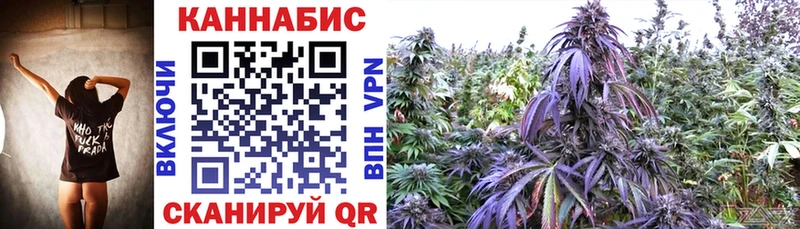 Конопля OG Kush Волхов