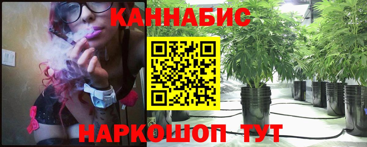 Конопля семена Волхов